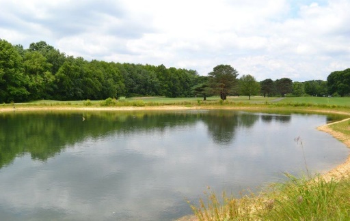 Clearbrook GC: #6, #7